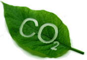 co2 reduction